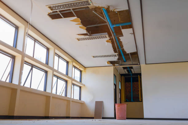 Best Flooded house restoration  in Drum Point, MD