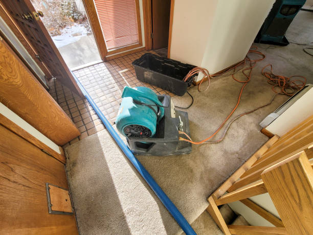Best Sewage cleanup and water damage restoration  in Drum Point, MD