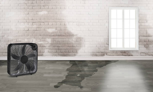 Professional Water damage restoration in Drum Point, MD