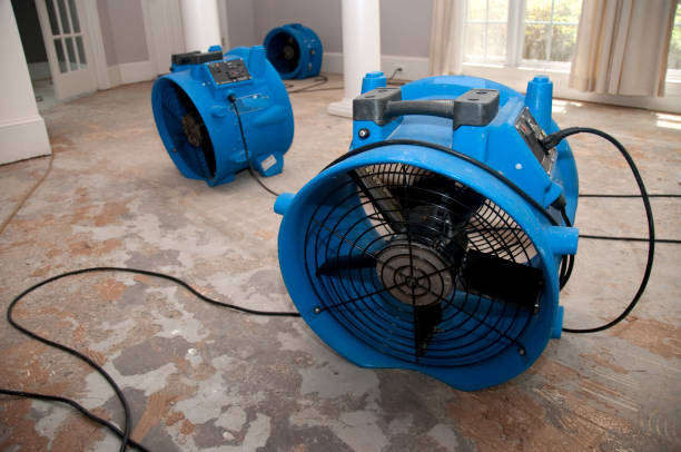 Best Professional water damage repair  in Drum Point, MD