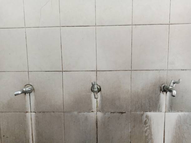 Best Flood damage cleanup  in Drum Point, MD