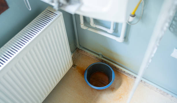 Best Flood restoration services  in Drum Point, MD