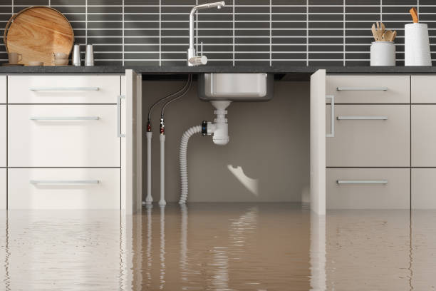 Best Water damage restoration experts  in Drum Point, MD