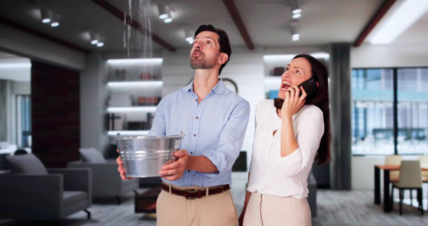 Best Basement water damage restoration  in Drum Point, MD